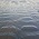 The sand during low tide, Sea Crest Beach Resort,Dahanu Dahanu Beach Hotel,Dahanu Beach Resort